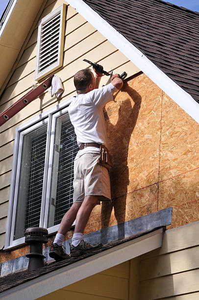 Best Insulated Siding Installation  in Farmington, IL